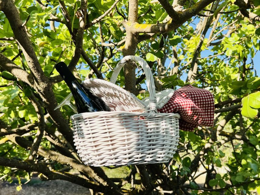 Agrigento: Valley of the Temples Gardens Picnic Experience - Key Points