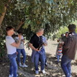 Agrigento: Vineyards and Wine Tasting Experience - What You Can Expect from the Vineyard and Wine Tasting Tour