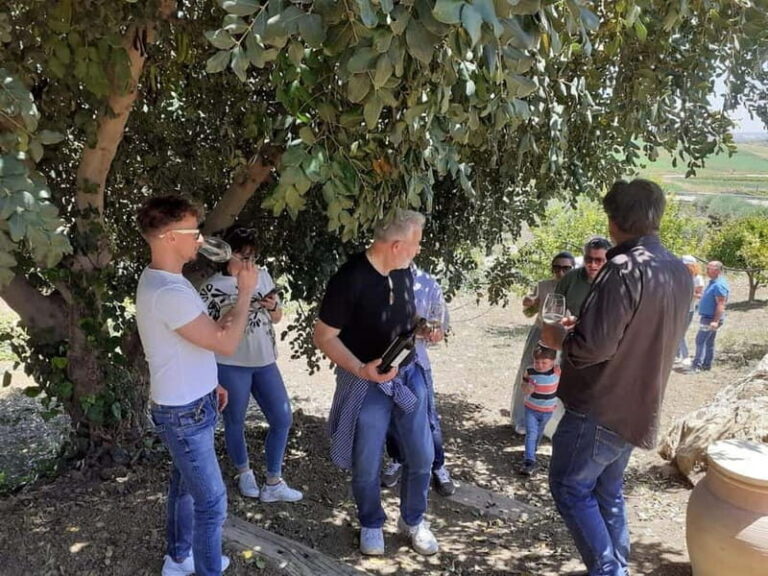 Agrigento: Vineyards and Wine Tasting Experience - What You Can Expect from the Vineyard and Wine Tasting Tour