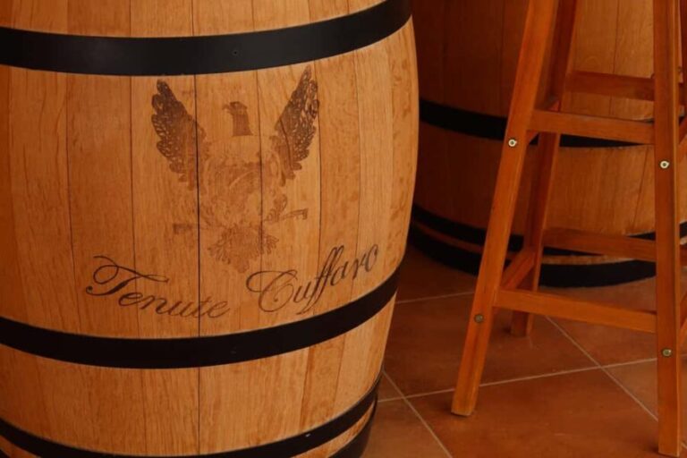 Agrigento: Wine tasting and walk in the vineyards. - Who should consider this tour?