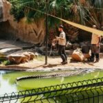 Agüimes: Cocodrilo Park Zoo Entry Ticket - The Visitor Experience: Real Words from Guests