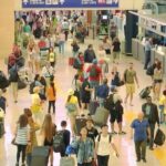 Airport to Hotel in Rome Private Transfer - The Experience in Detail