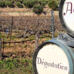 Aix-en-Provence - Mt Sainte Victoire wines in search of Cézanne - The Itinerary Breakdown