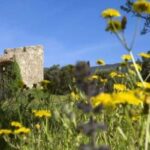 Aix-en-Provence: Nature Tour by Electric Bike - The Unique Charm of Lauris and Its Views