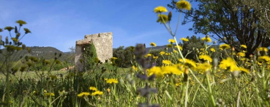Aix-en-Provence: Nature Tour by Electric Bike - The Unique Charm of Lauris and Its Views