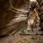 Akamas Jeep Safari Tour from Paphos - The Tour in Detail: What to Expect