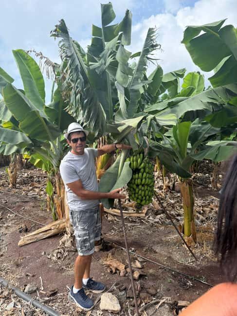 Akamas natural park: White Stone River, Canyon, and Turtle Beach. - A Deep Dive into the Itinerary