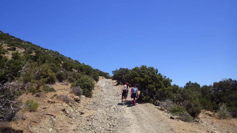 Akamas Panorama Walk (usually Adonis&Aphrodite combo) - What to Expect on the Route