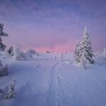Äkäslompolo: Snowshoeing Adventure in Lapland - FAQ