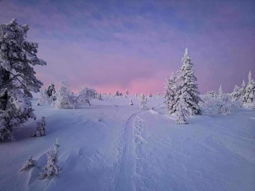 Äkäslompolo: Snowshoeing Adventure in Lapland - FAQ
