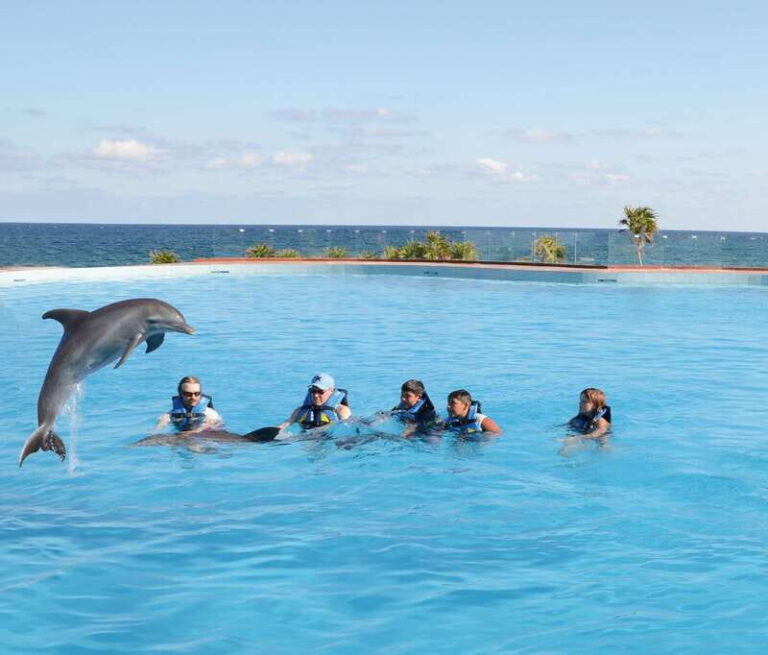 Akumal: Dolphin Encounter - What Will You Do During the Tour?