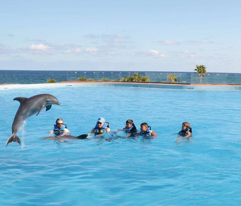 Akumal: Dolphin Encounter - What Will You Do During the Tour?