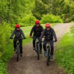 Akureyri: E-Bike Tour with Forest Lagoon Entry - What to Expect on the Tour