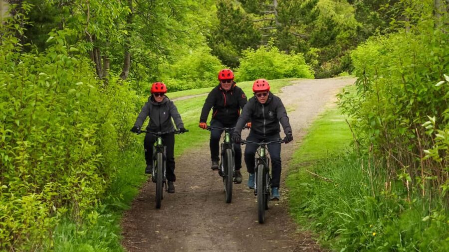 Akureyri: E-Bike Tour with Forest Lagoon Entry - What to Expect on the Tour