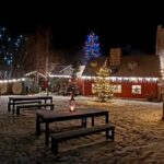 Akureyri: Goðafoss, Christmas House, and Forest Lagoon Tour - What to Expect from This Icelandic Day Out