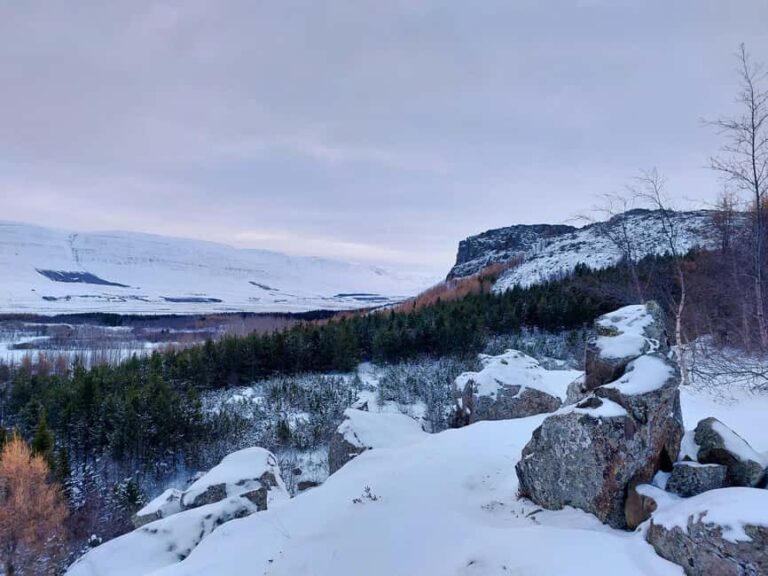 Akureyri: Snowshoeing with The Traveling Viking - The Itinerary Breakdown