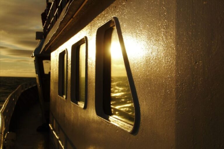 Akureyri: Whale Watching in the Midnight Sun - Wildlife & The Scenery