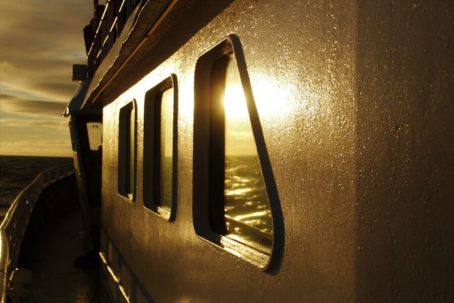 Akureyri: Whale Watching in the Midnight Sun - Wildlife & The Scenery