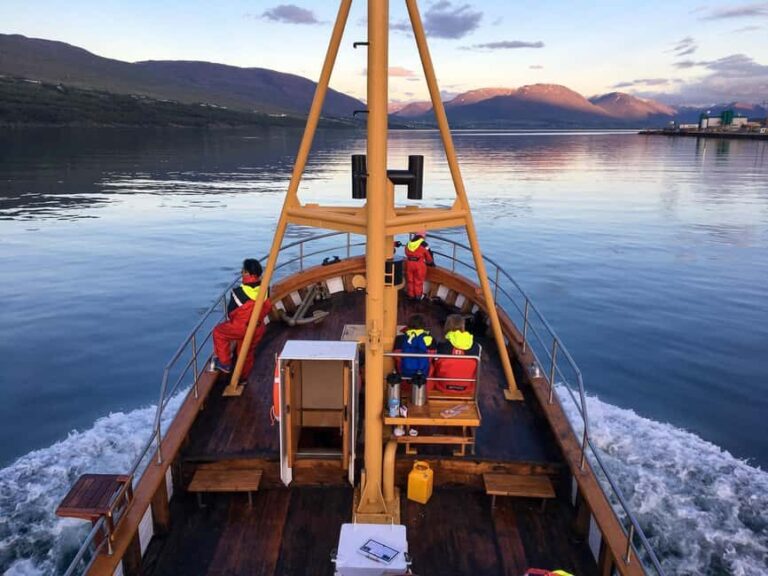 Akureyri: Whale Watching Tour with Transfer from Port - Who Is This Tour Best For?