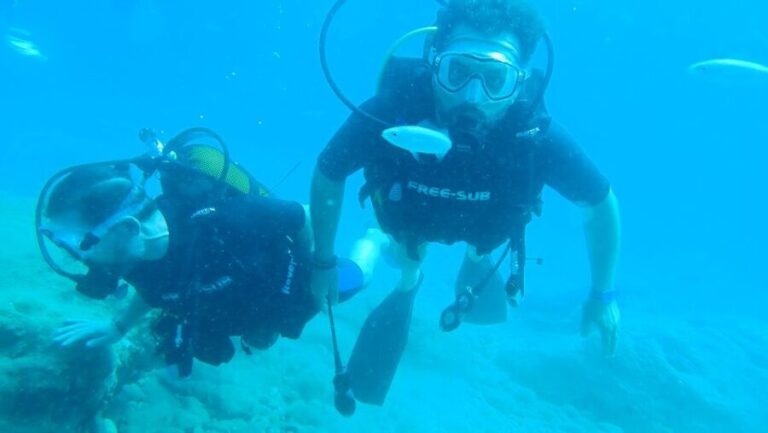 Alanya: 2 Guided Scuba Dives with Lunch and Hotel Transfers - The Real Deal: Value and Practicality