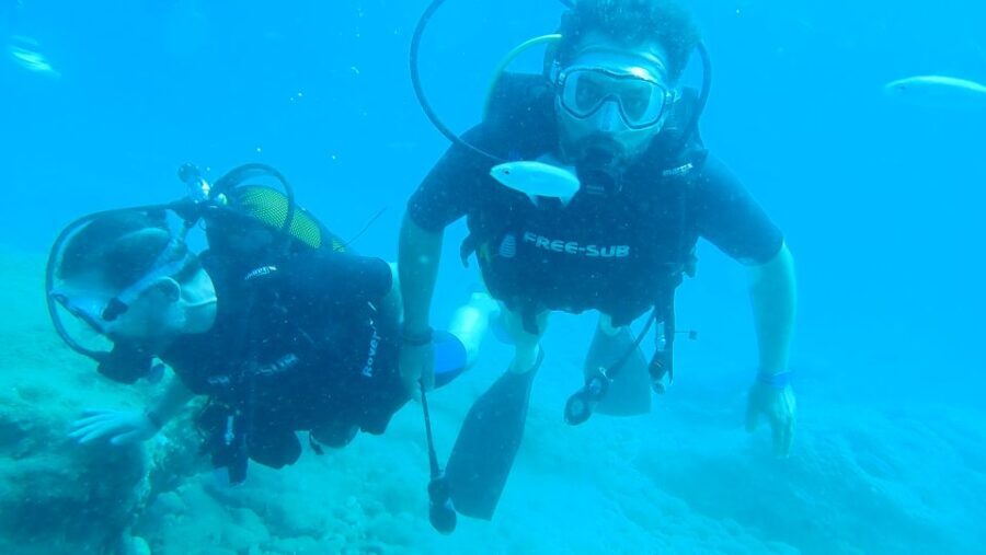 Alanya: 2 Guided Scuba Dives with Lunch and Hotel Transfers - The Real Deal: Value and Practicality