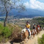 Alanya: Horse Riding Club Transfer Service - The Practical Side: Transportation and Price