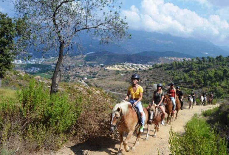 Alanya: Horse Riding Club Transfer Service - The Practical Side: Transportation and Price