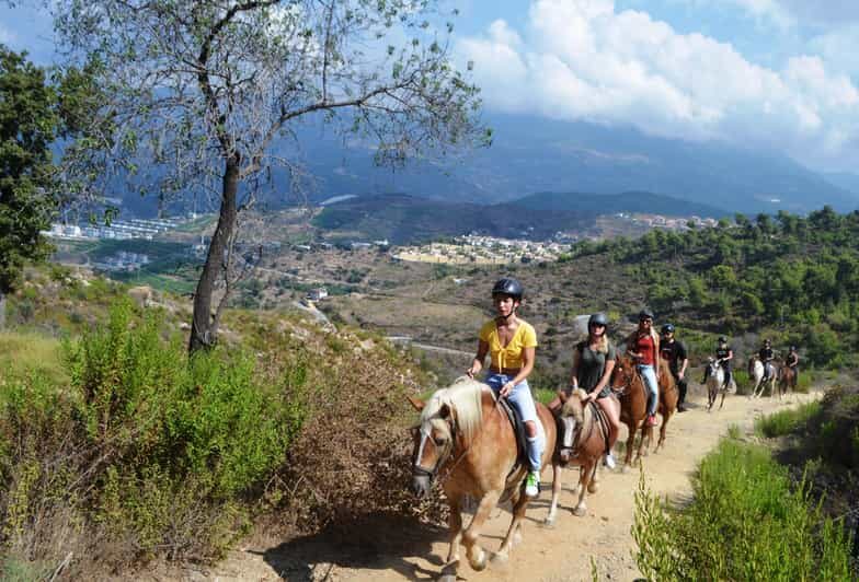 Alanya: Horse Riding Club Transfer Service - The Practical Side: Transportation and Price