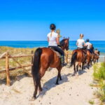 Alanya: Horse Riding Tour with Hotel Transfers - The Experience for the Rider