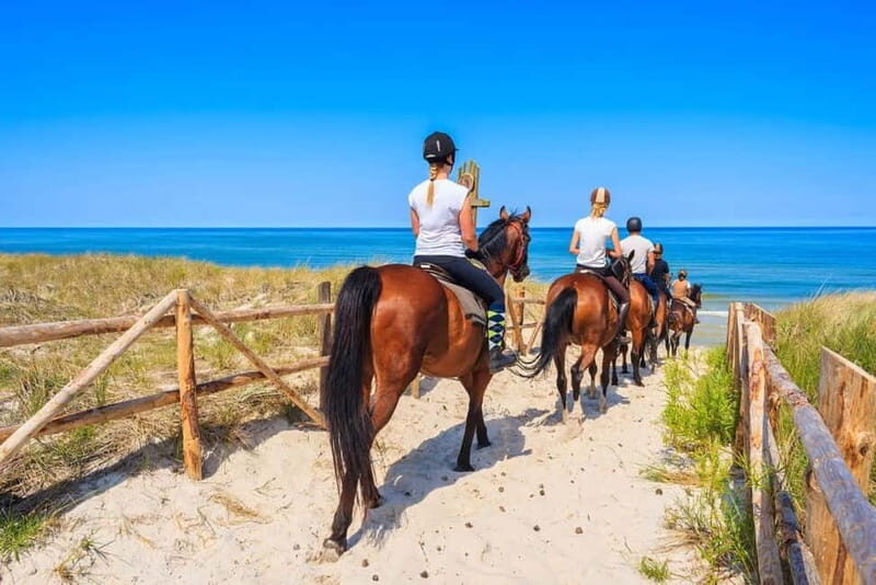 Alanya: Horse Riding Tour with Hotel Transfers - The Experience for the Rider