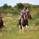 Alanya: Horseback Ride Through Nature near Syedra Ruins - The Itinerary: From Alanya to Ancient Ruins