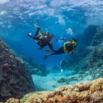 Alanya: Scuba Diving Tour with Lunch and Hotel Transfers - Why the Guides and Equipment Matter