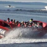 Alanya: Speedboat Ride with Swimming Break - The Practical Side: Safety and Logistics