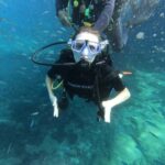 Alanya: Turtle Island Scuba Diving (2 Dives) - What You Should Know Before Booking
