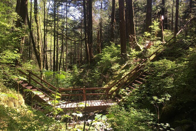 Alaska Bigfoot Adventures - The Pros and Cons