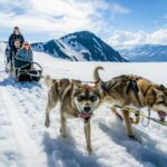 Alaska Helicopter and Glacier Dogsled Tour - ANCHORAGE AREA - The Value of this Experience