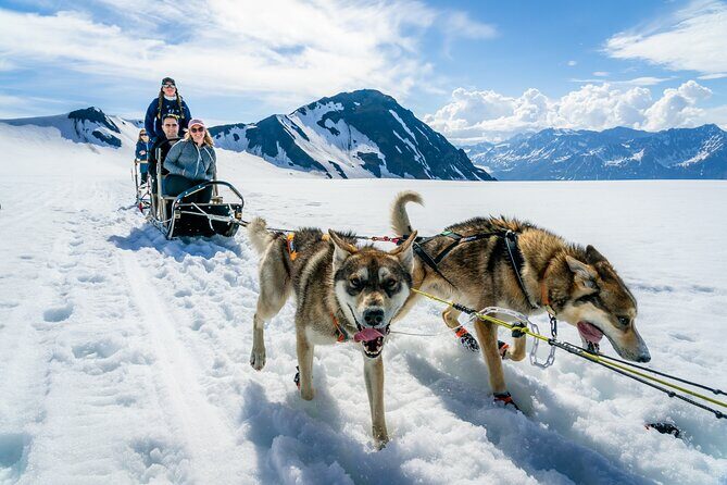 Alaska Helicopter and Glacier Dogsled Tour - ANCHORAGE AREA - The Value of this Experience