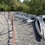 Alaska Native Heritage Center Admission Ticket - Concluding Thoughts