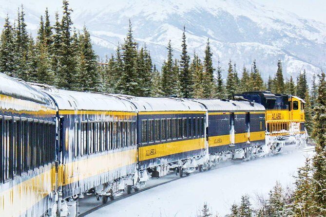 Alaska Railroad Aurora Winter Anchorage to Fairbanks One Way - Practical Details and Tips