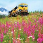 Alaska Railroad Denali to Anchorage One Way - The Length and Value