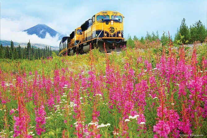 Alaska Railroad Denali to Anchorage One Way - The Length and Value