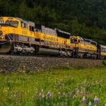 Alaska Railroad Fairbanks to Denali One Way - A Scenic Journey from Fairbanks to Denali