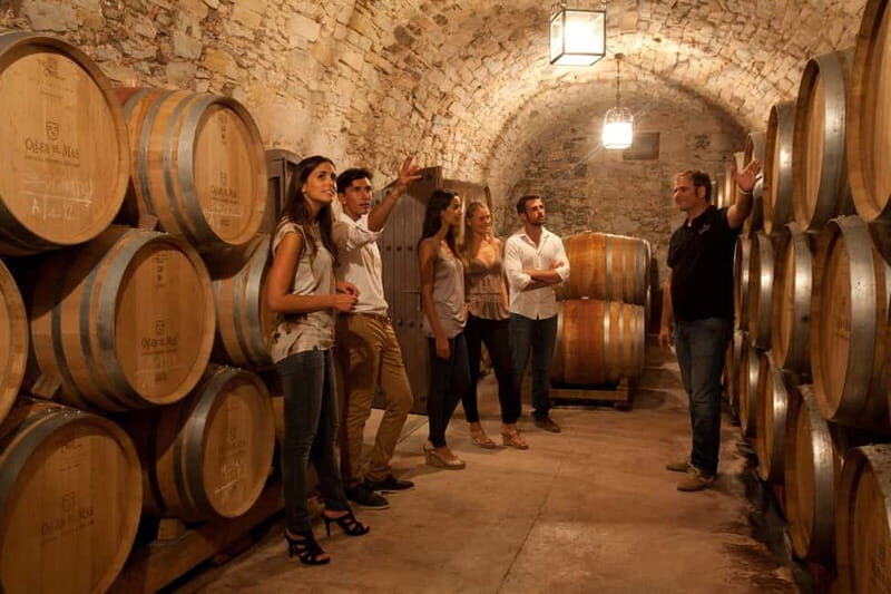 Albariño Wine Tour: Taste, Learn & Take Home a Special Gift - A Closer Look at the Albariño Wine Tour
