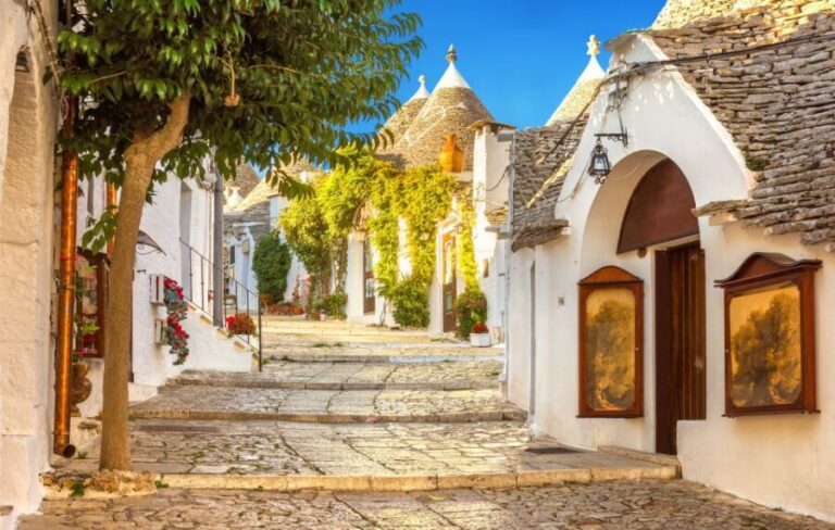 Alberobello: 2-Hour Guided Trulli Tour - The Group and Tour Logistics