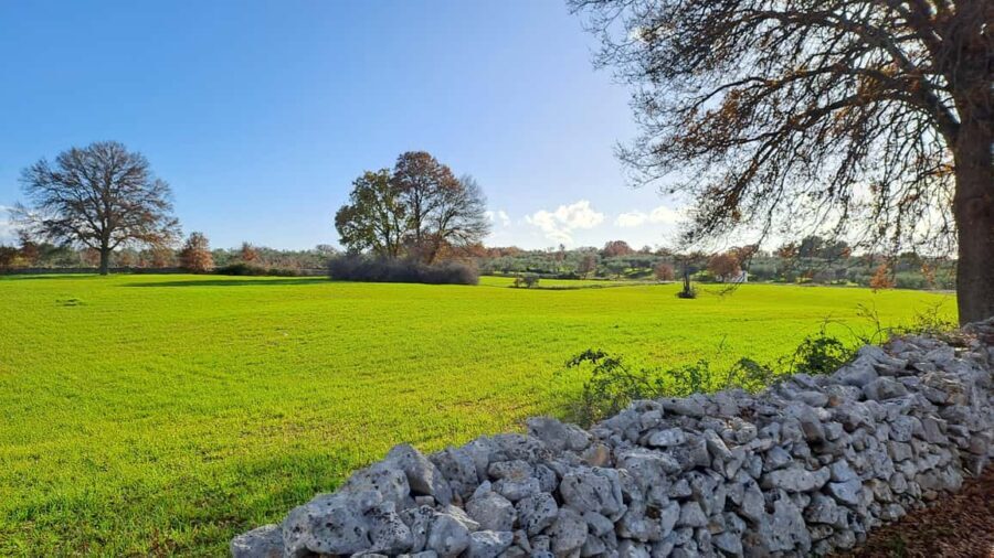 Alberobello: E-Bike Tour to Locorotondo with Ice Cream - The Itinerary Breakdown