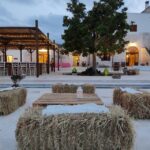 Alberobello: Winery Tour with Wine and Food Tasting - What Makes This Tour Stand Out?