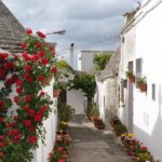 Alberobello with a local tour guide!(shared tour max.15 pax) - The Value of This Tour