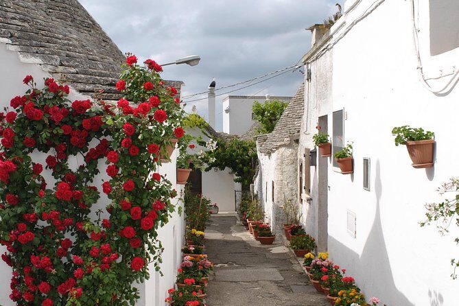 Alberobello with a local tour guide!(shared tour max.15 pax) - The Value of This Tour