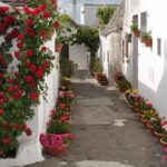 Alberobello&Ostuni&Polignano a Mare - The Final Stop: Polignano a Mare