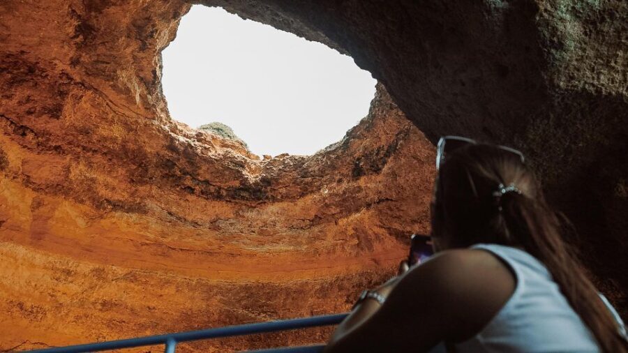 Albufeira: 2.5-Hour Dolphin Watching and Caves Trip - Who Will Love This Tour?